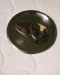 Alaro><noscript><img width=