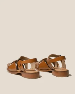 Ancora><noscript><img width=