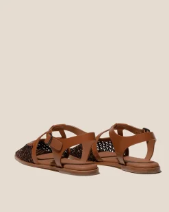 Bardissa><noscript><img width=