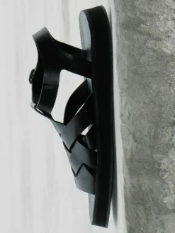 Beltra><noscript><img width=