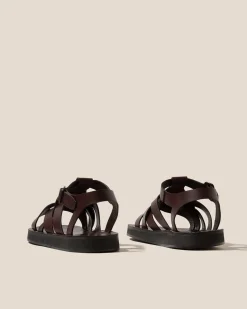 Beltra><noscript><img width=