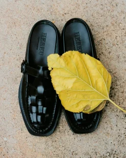 Bonell><noscript><img width=