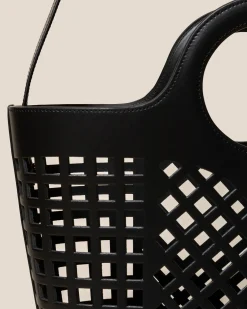 Colmado><noscript><img width=