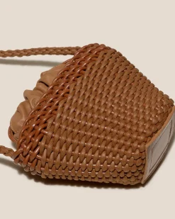 Fiol><noscript><img width=