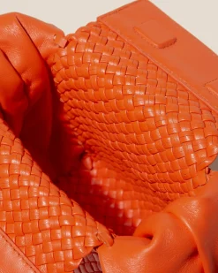 Molta><noscript><img width=