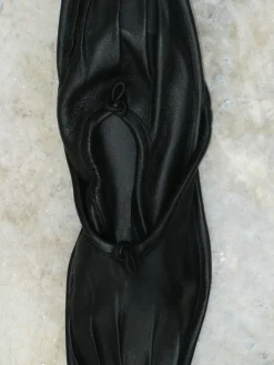 Puntera><noscript><img width=