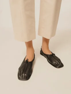 Puntera><noscript><img width=