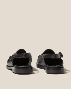 Raiguer><noscript><img width=