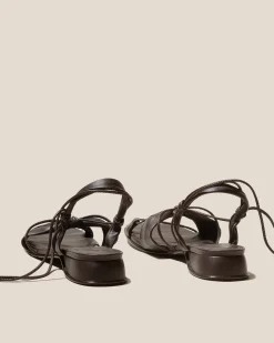 Sarola><noscript><img width=