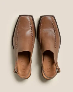 Saura><noscript><img width=