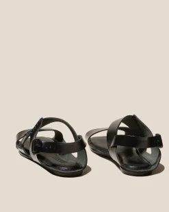 Suset><noscript><img width=