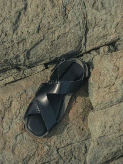 Suset><noscript><img width=